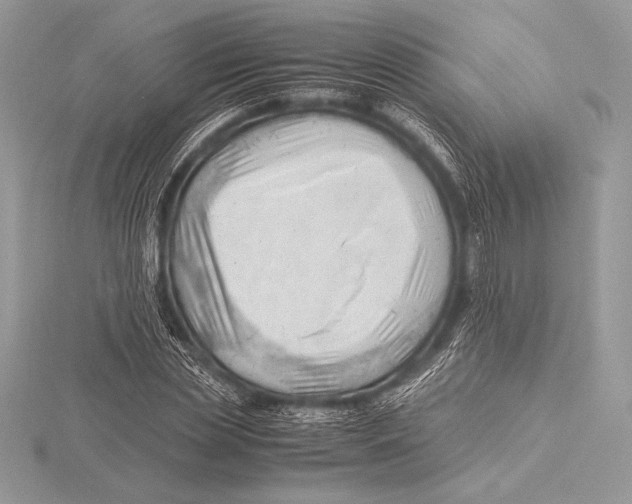 X0000115800829200912111208