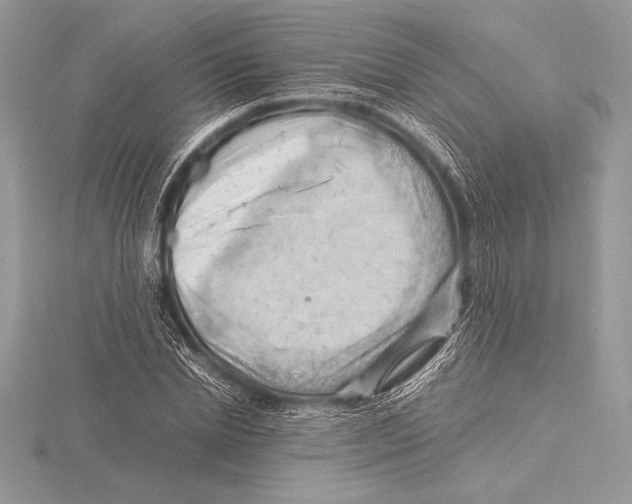 X0000115800830200912111208