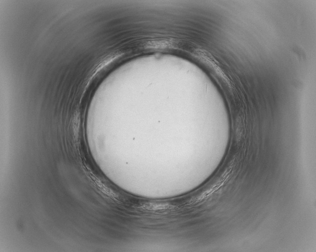 X0000115800831200912111208