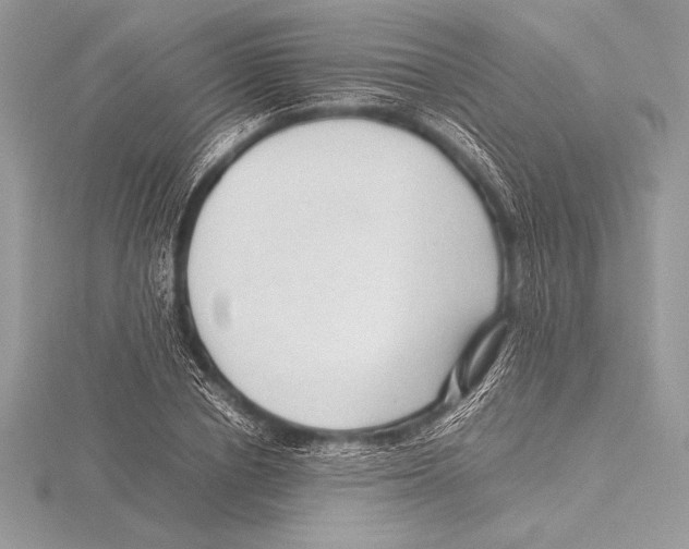 X0000115800834200912111208