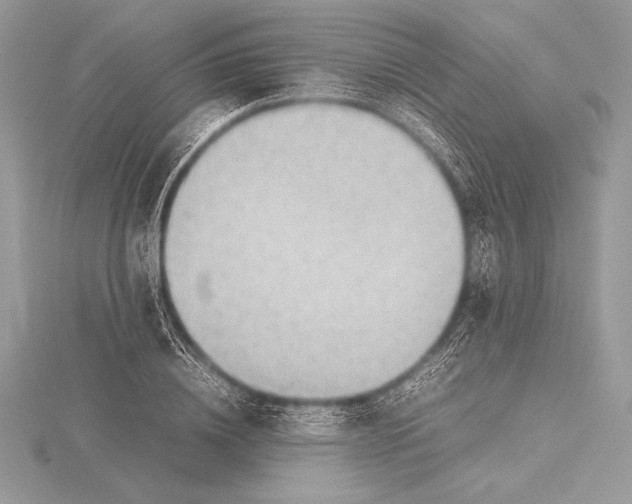 X0000115800836200912111208