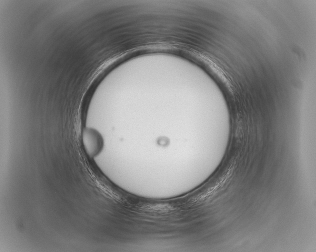 X0000115800837200912111208