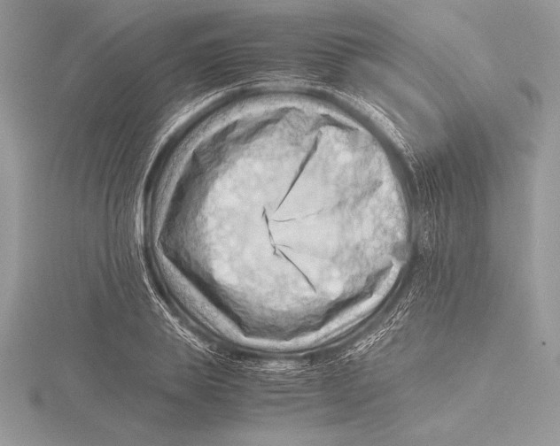 X0000115800839200912111208