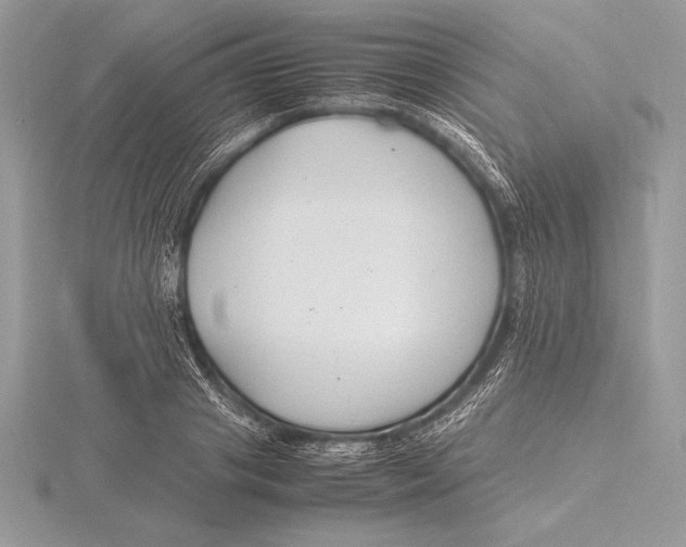 X0000115800841200912111208