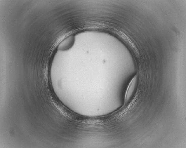 X0000115800842200912111208