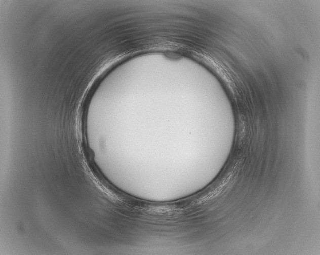 X0000115800843200912111208