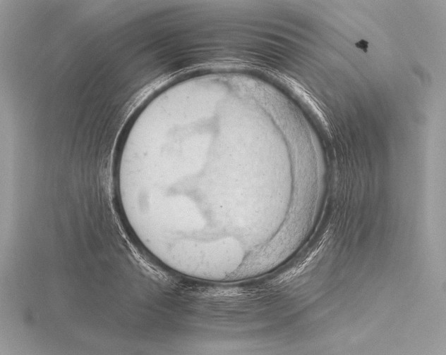 X0000115800845200912111208