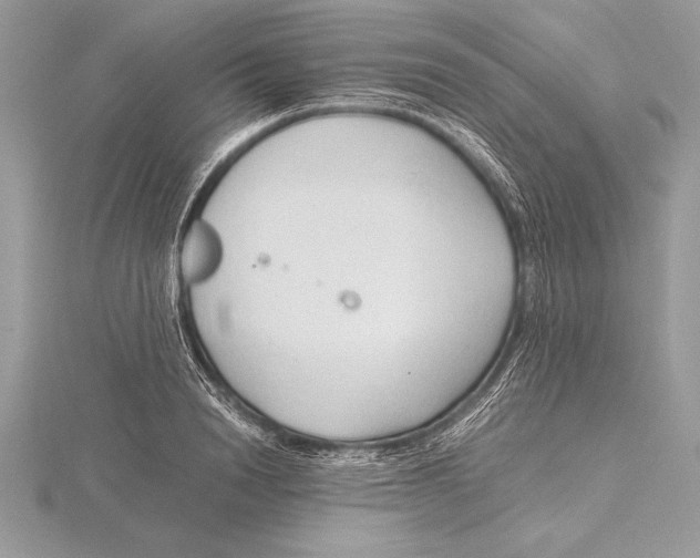 X0000115800846200912111208