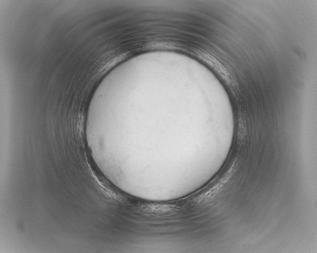 X0000115800849200912111208