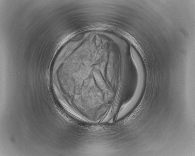 X0000115800850200912111208