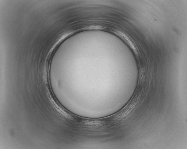 X0000115800851200912111208