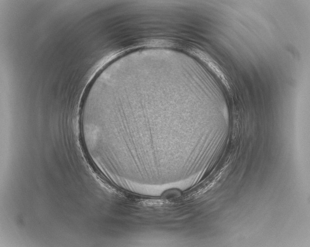 X0000115800853200912111208