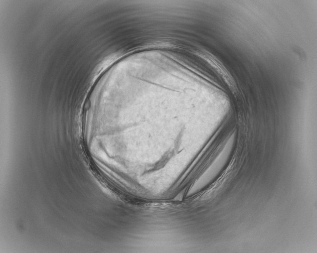 X0000115800858200912111208