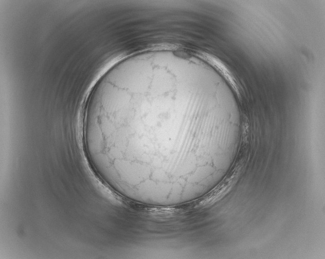 X0000115800859200912111208