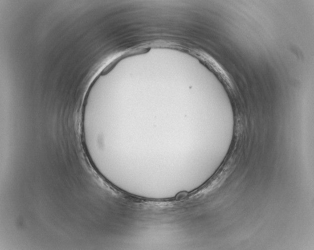 X0000115800860200912111208