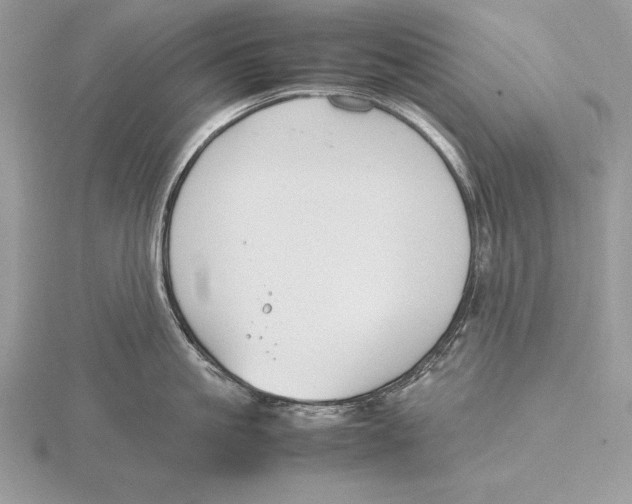 X0000115800861200912111208