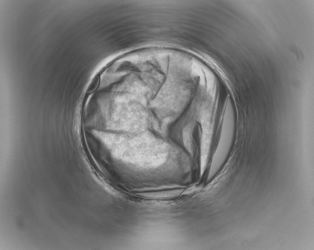 X0000115800862200912111208