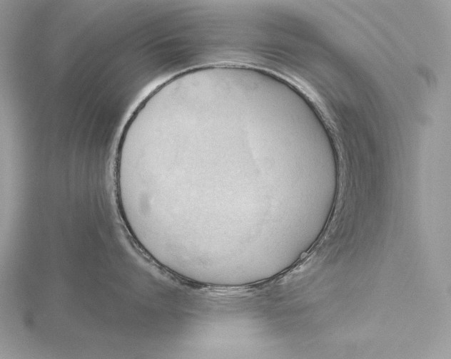 X0000115800864200912111208