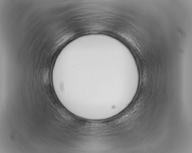 X0000115800873200912111207