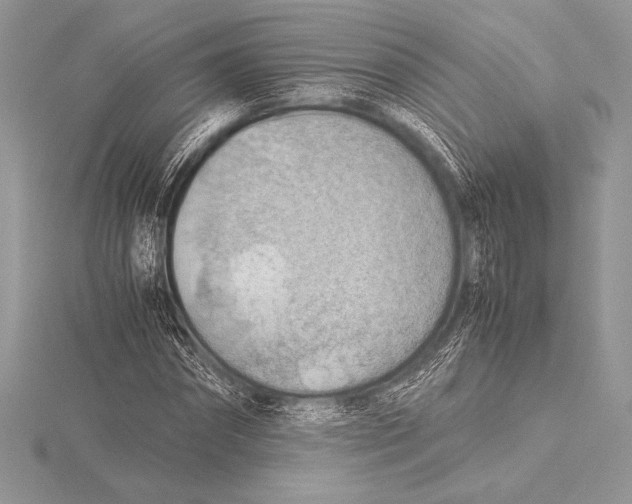 X0000115800874200912111207