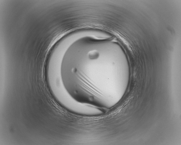 X0000115800877200912111207