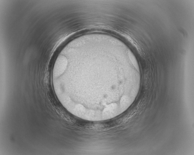 X0000115800879200912111207