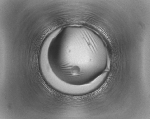 X0000115800881200912111207