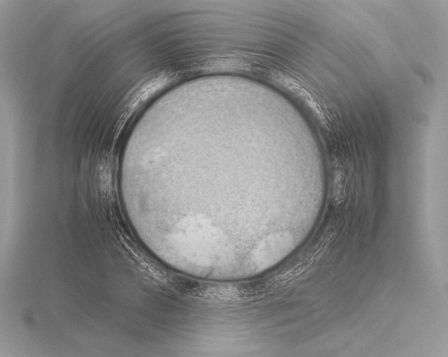 X0000115800882200912111207