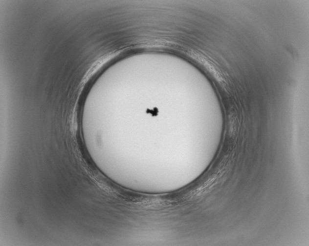 X0000115800885200912111207