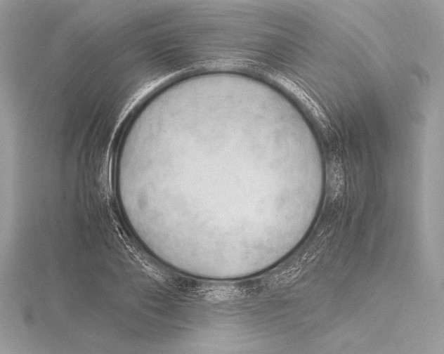 X0000115800886200912111207