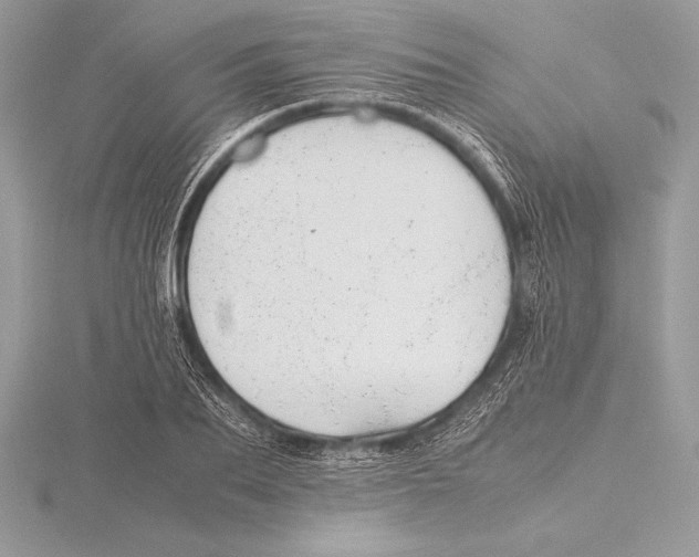 X0000115800887200912111207