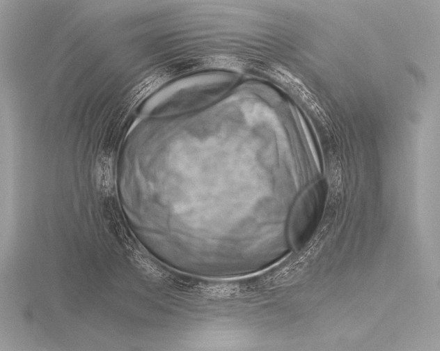 X0000115800889200912111207