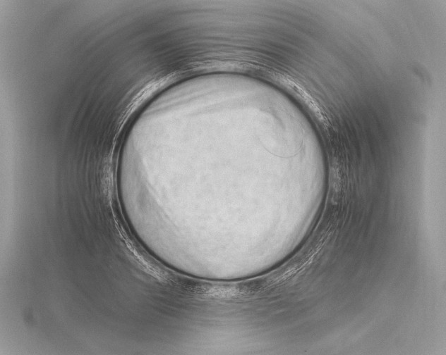 X0000115800890200912111207