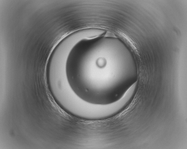 X0000115800892200912111207