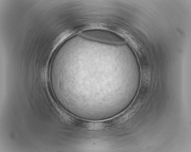 X0000115800893200912111207