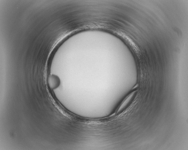 X0000115800894200912111207