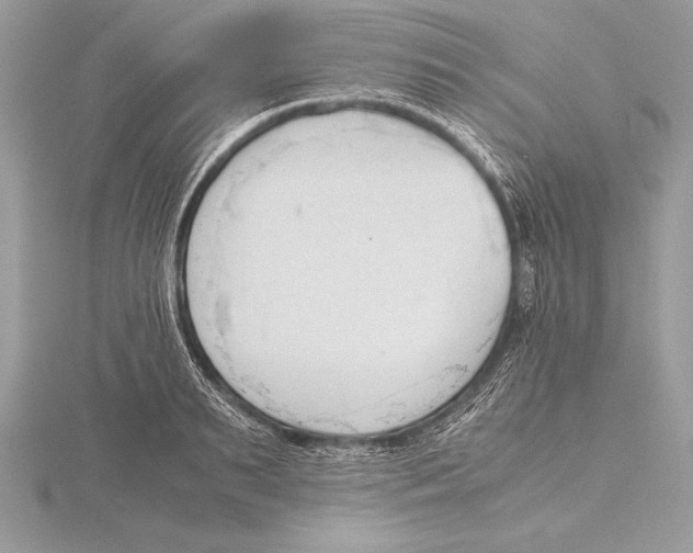 X0000115800895200912111207