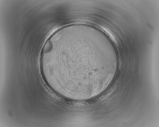 X0000115800899200912111207