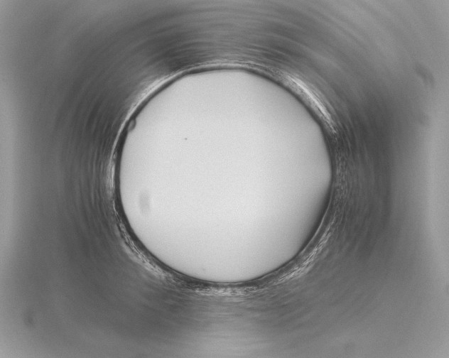 X0000115800900200912111207