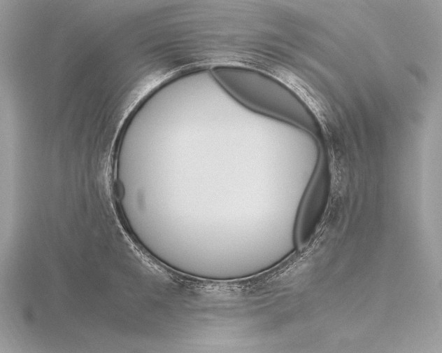 X0000115800901200912111207