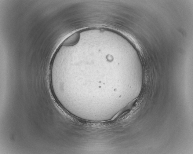 X0000115800903200912111207