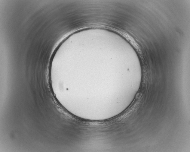 X0000115800904200912111207