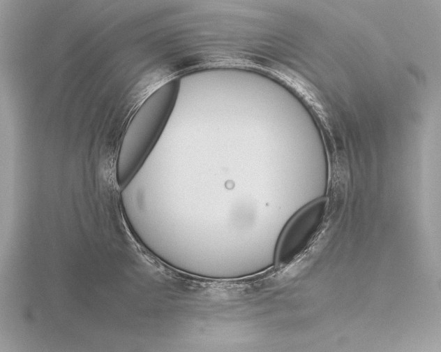 X0000115800905200912111207