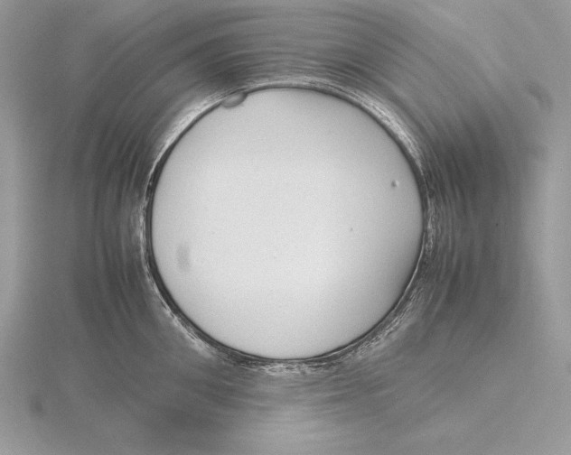 X0000115800906200912111207