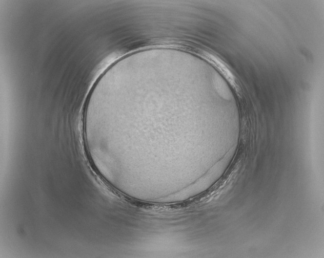 X0000115800907200912111207