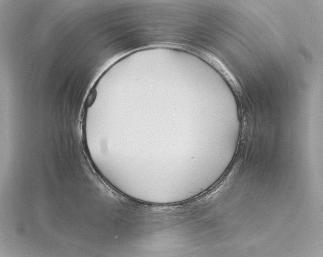 X0000115800908200912111207