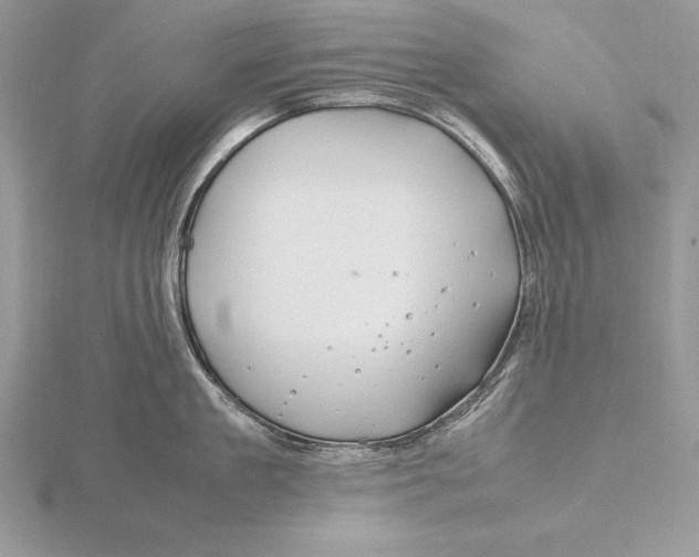 X0000115800909200912111207