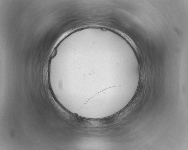 X0000115800911200912111207