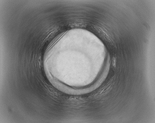 X0000115800915200912111206