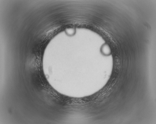 X0000115800918200912111206